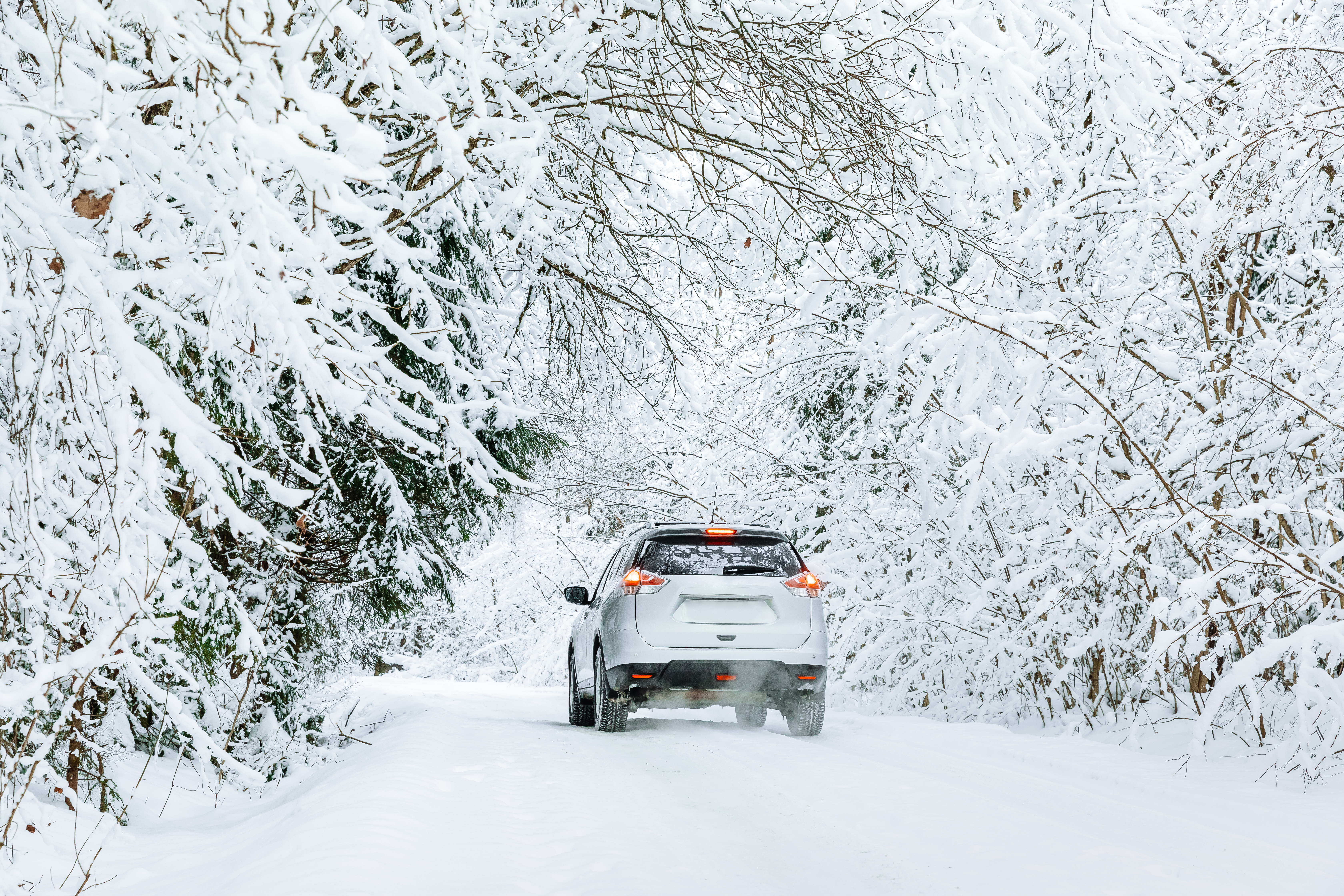 Ultimate Guide to Winter Car Care